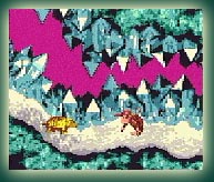 Donkey Kong Country