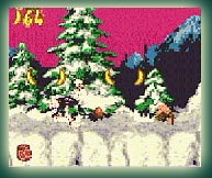 Donkey Kong Country