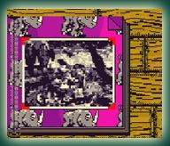 Donkey Kong Country