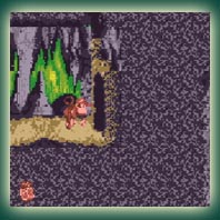 Donkey Kong Country