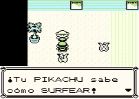 Pokémon