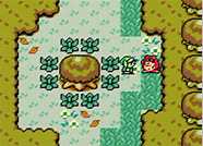 The Legend of Zelda: Link's Awakening DX