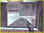 Perfect Dark