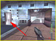 Perfect Dark