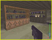 Perfect Dark