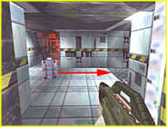 Perfect Dark
