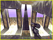Perfect Dark