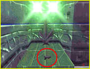 Perfect Dark