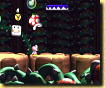 Yoshi´s Story